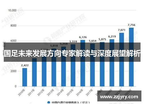 国足未来发展方向专家解读与深度展望解析