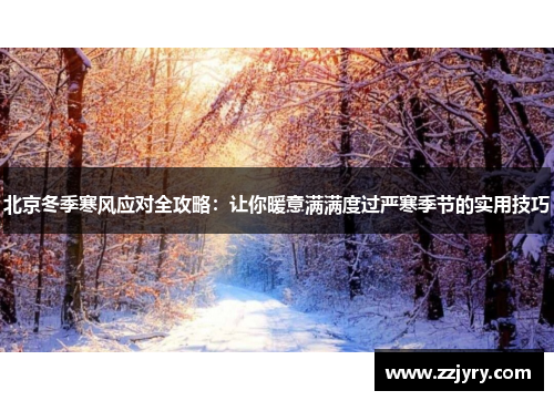 北京冬季寒风应对全攻略：让你暖意满满度过严寒季节的实用技巧